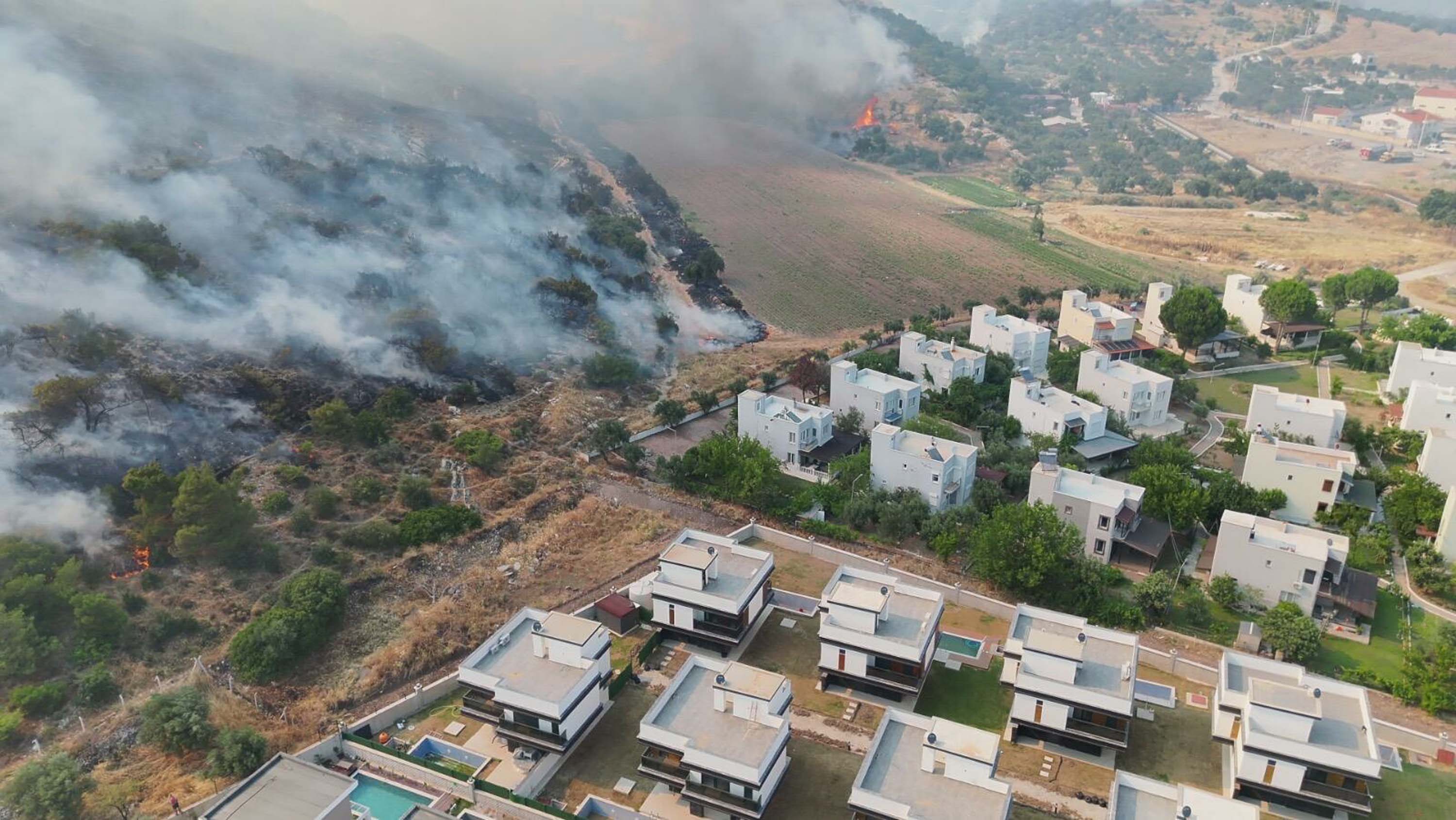 İzmir'de yangın kontrol altında. Evler tahliye edildi