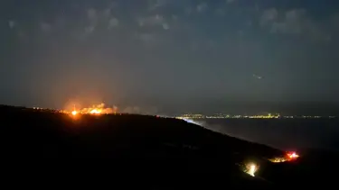 İzmir'de makilik alanda yangın