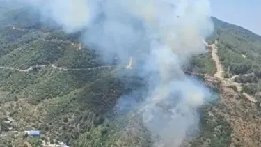 İzmir’de orman yangını