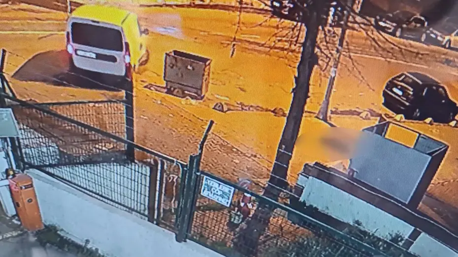 Yok böyle vicdansızlık! Kaldırımda yatan köpeği ezip yollarına devam ettiler