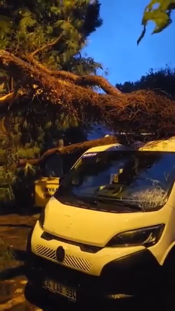 Kadıköy’de öğrenci almak için bekleyen servis minibüsünün üzerine ağaç devrildi