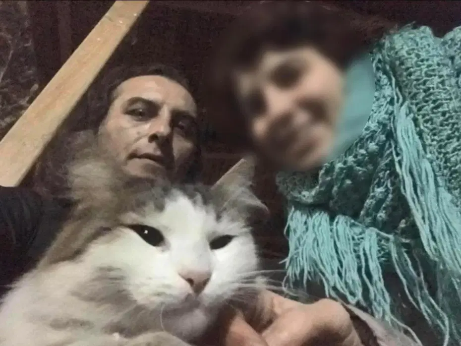 Kedileri beslemeyince acı gerçek ortaya çıktı