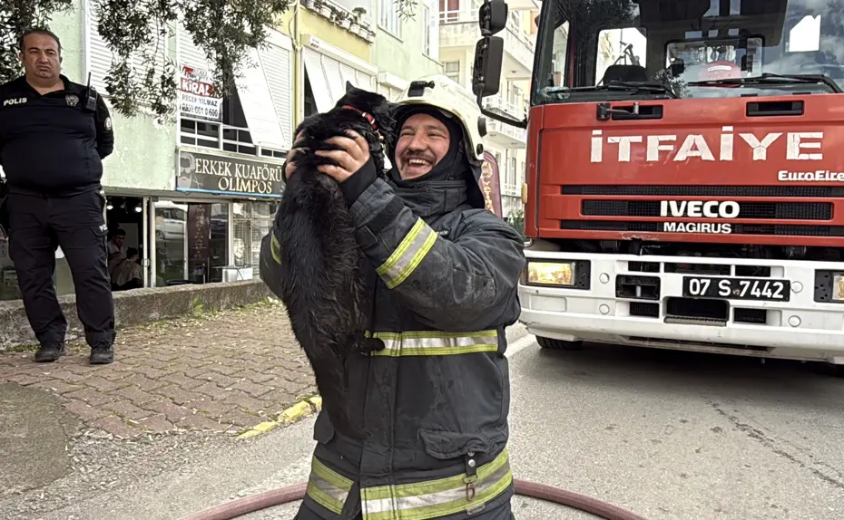 İtfaiye eri kalp masajıyla kediyi yaşama bağladı