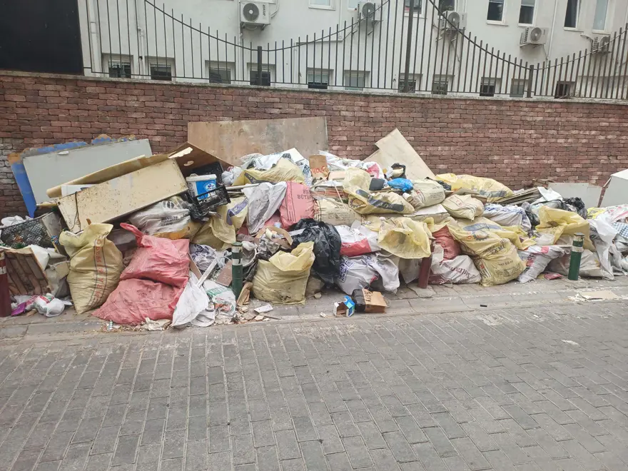 İzmir'de karasinek istilası... Nedeni belli oldu 