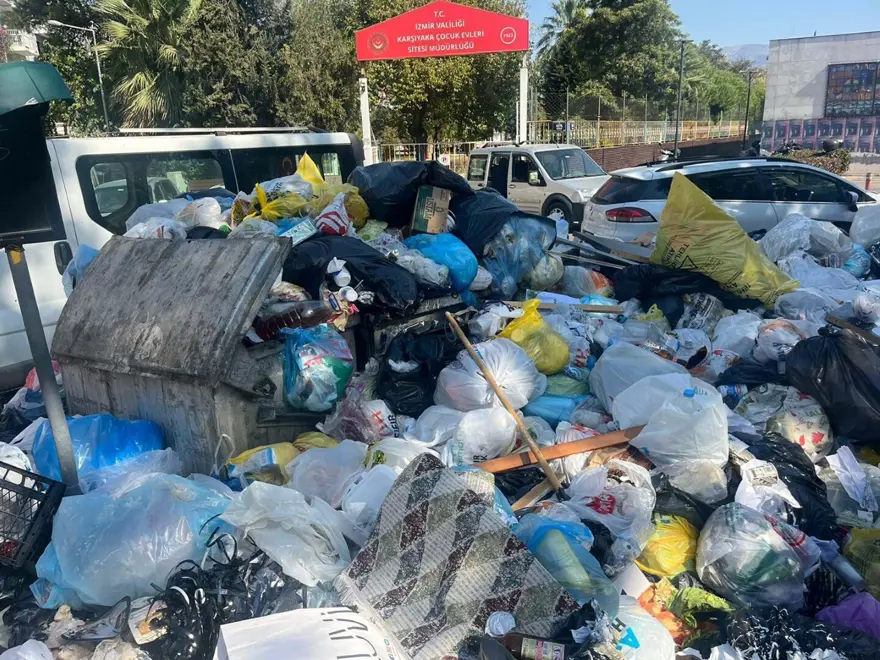 İzmir'de karasinek istilası... Nedeni belli oldu 2