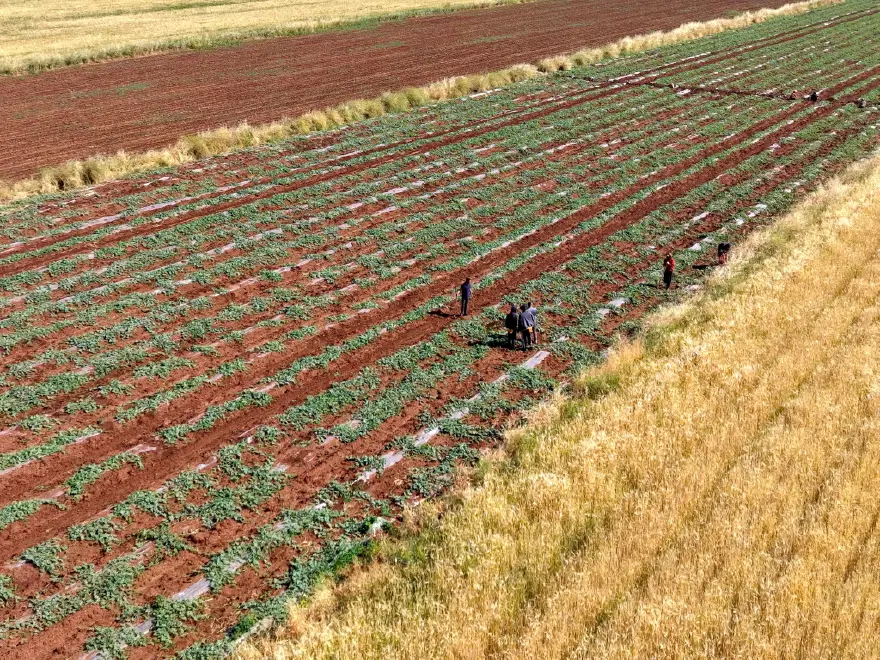 "AMACIMIZ TONAJ DEĞİL KALİTE" 3