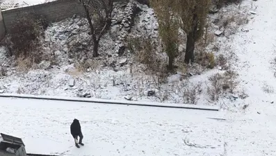 Kars'a mevsimin ilk karı düştü