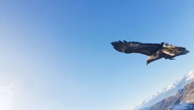 Kartalın kaptığı drone 6 saatlik tırmanışla geri alındı