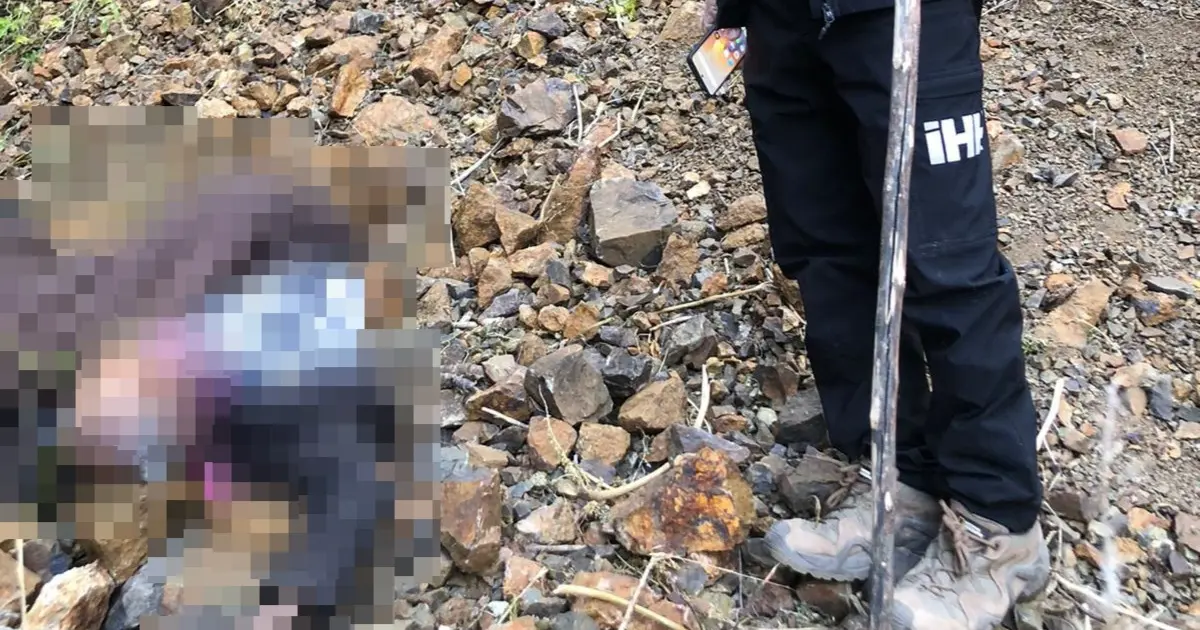 Kayıp Alzheimer hastası ölü bulundu