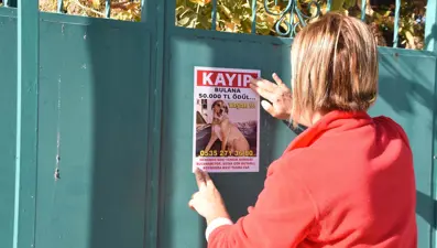 Kayıp köpeğini bulana 50 bin lira ödül verecek