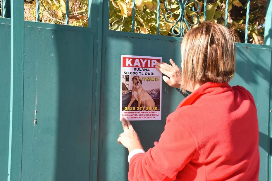 Kayıp köpeğini bulana 50 bin lira ödül verecek
