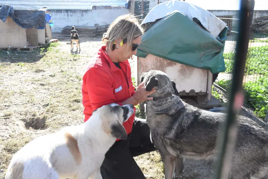 ''BELLİ YERLERE KAMERA KOYDUK'' 2