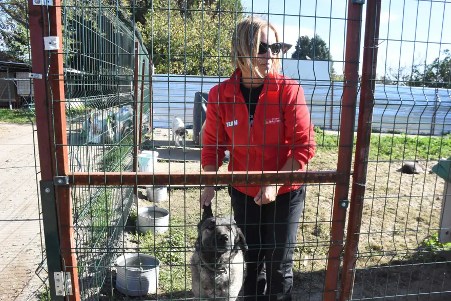 Kayıp köpeğini bulana 50 bin lira ödül verecek 