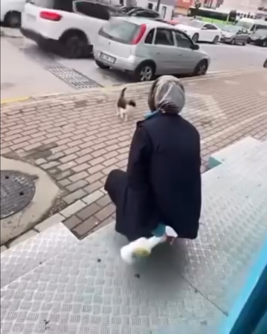 Kediyi yanına çağırıp yağ çözücü sprey sıkan market çalışanı serbest
