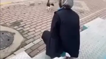 Kediyi yanına çağırıp yağ çözücü sprey sıkan market çalışanı serbest