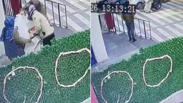 Kedinin çuvala konularak uzaklaştırıldığı görüntülere tepki