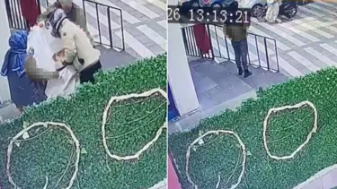 Kedinin çuvala konularak uzaklaştırıldığı görüntülere tepki