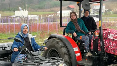 Şehirden köye dönüp üretici oldular. Sezonda 500 bin kazanıyorlar