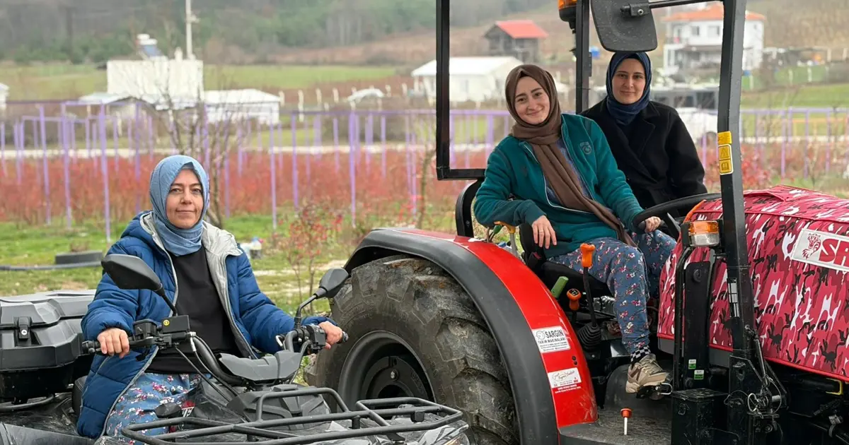 Şehirden köye dönüp üretici oldular. Sezonda 500 bin kazanıyorlar
