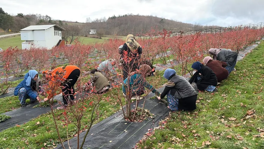 GENÇLER KÖYE GERİ DÖNÜYOR 2