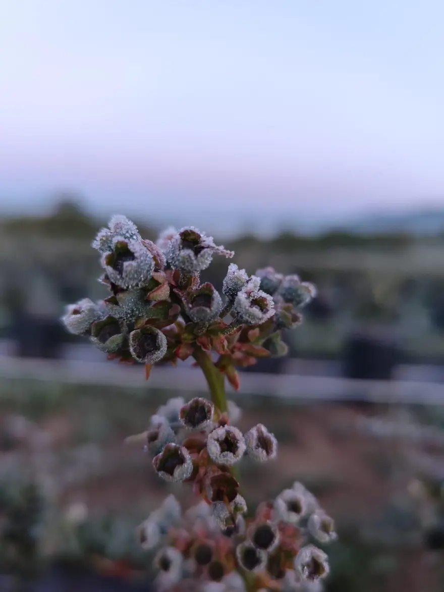 TERSİNE GÖÇ HAYATLARINI DEĞİŞTİRDİ 