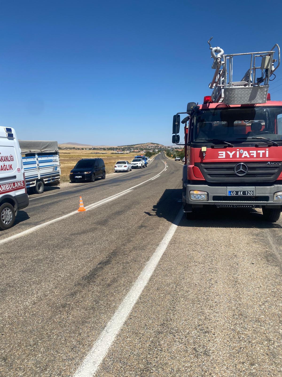 TIR şarampole devrildi, 4 büyükbaş hayvan öldü