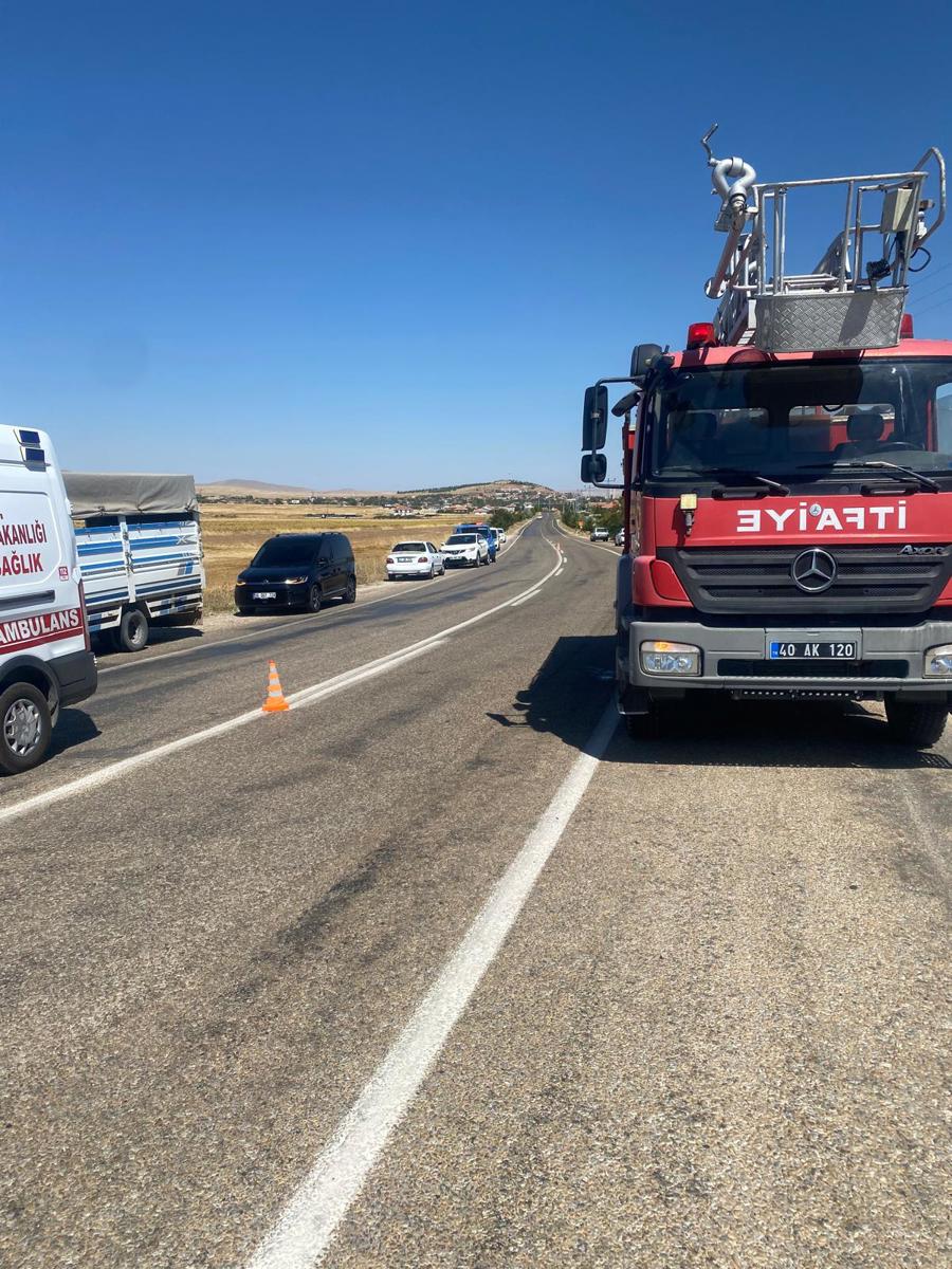 TIR şarampole devrildi, 4 büyükbaş hayvan öldü