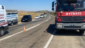 TIR şarampole devrildi, 4 büyükbaş hayvan öldü