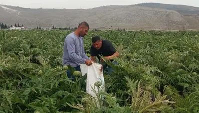 Kıbrıs'ta yiyip çok beğendi. Memleketinde üretime başladı, tanesini 35 liraya satıyor