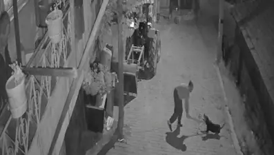 Köpeği demir sopayla döverek öldürdü