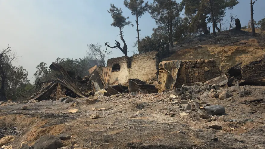 ADANA'DA KOZAN İLÇESİNDE YANGIN SÜRÜYOR 6