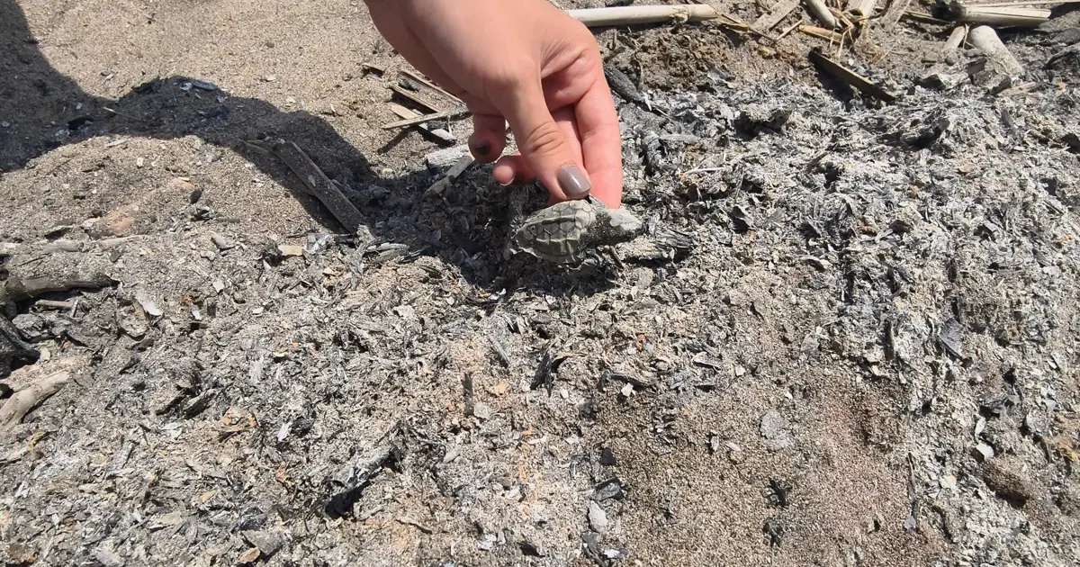 Denize ulaşmaya çalışıyordu, yanarak öldü