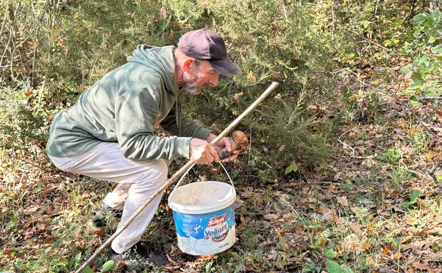 "BU SENE MANTARI GRAMLA SATIYORUZ" 2 "BU SENE MANTARI GRAMLA SATIYORUZ" 2