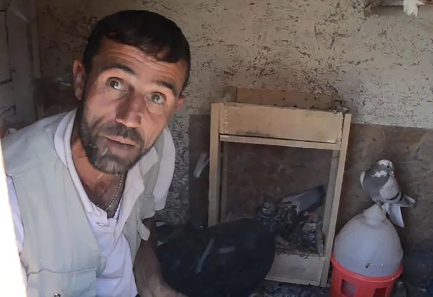 YARGITAY CEZALARI ONADI 3