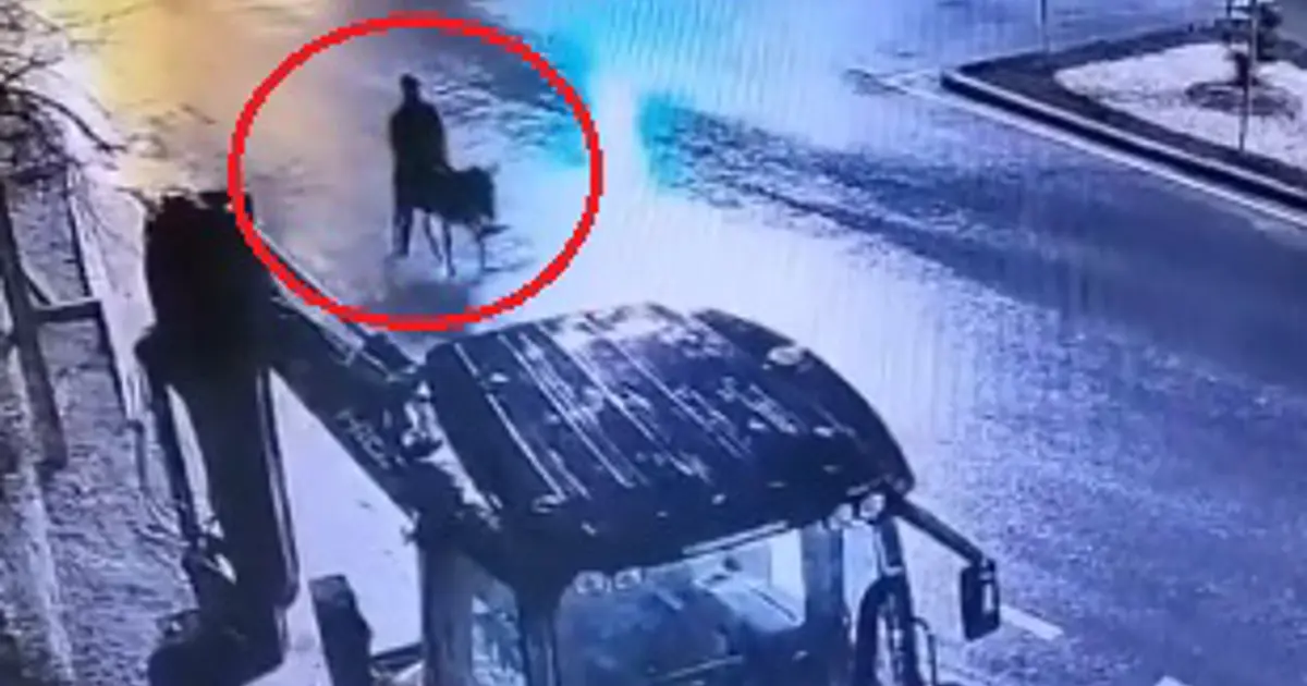 Altınları çalıp eşekle kaçmıştı. 9 yıl 7 ay hapis cezası