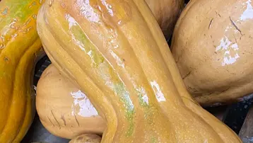 Semt pazarının şifalı gözdesi, tanesi 100 lira. Magnezyum, çinko, A, C vitamini ne varsa onda!