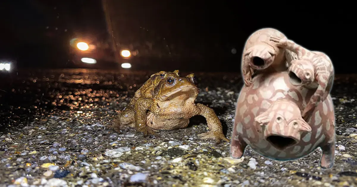 Ormandan gölete 5 bin yıllık göç başladı