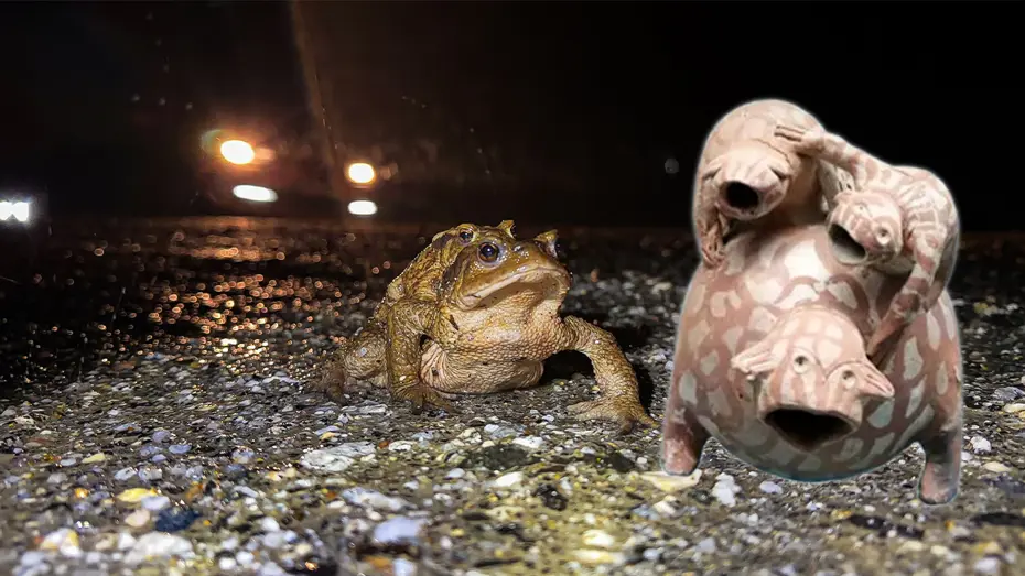 Ormandan gölete 5 bin yıllık göç başladı