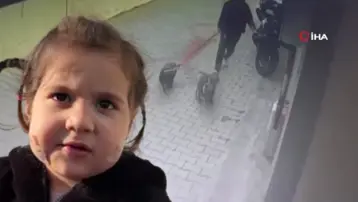 Üç yaşındaki Ada'ya iki köpek saldırdı. Sahibinin köpekleri serbest bıraktığı iddia edildi
