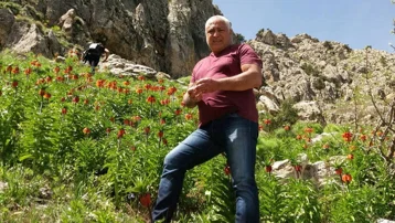 Mantar toplamak için çıktığı dağda ölü bulundu