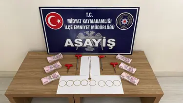 Mardin'de 5 hırsızlık şüphelisi yakalandı