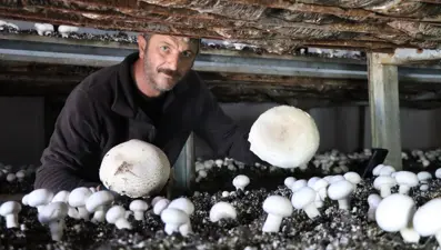 Metropol hayatını bıraktı, memleketinde iş kurdu: ''Taleplere yetişemez oldum''