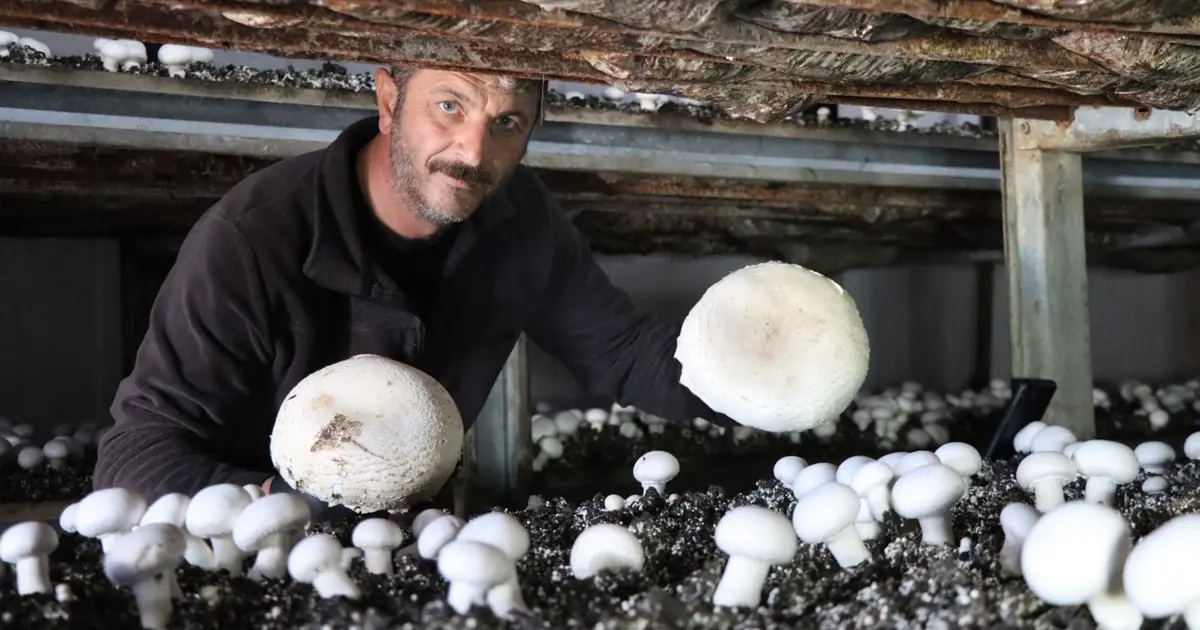 Metropol hayatını bıraktı, memleketinde iş kurdu: ''Taleplere yetişemez oldum''