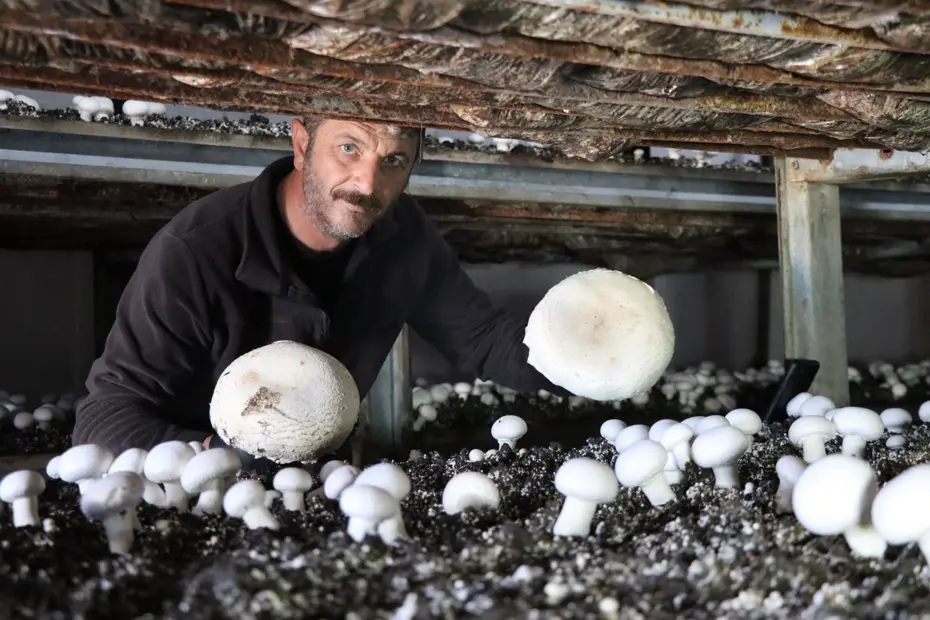 Metropol hayatını bıraktı, memleketinde iş kurdu: ''Taleplere yetişemez oldum''