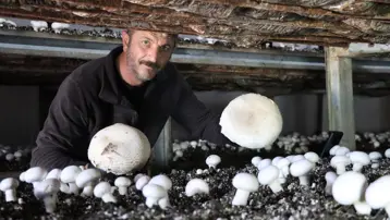 Metropol hayatını bıraktı, memleketinde iş kurdu: ''Taleplere yetişemez oldum''