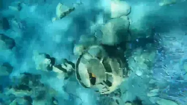 Muğla'da 2. Dünya Savaşı'ndan kalma deniz mayını imha edildi