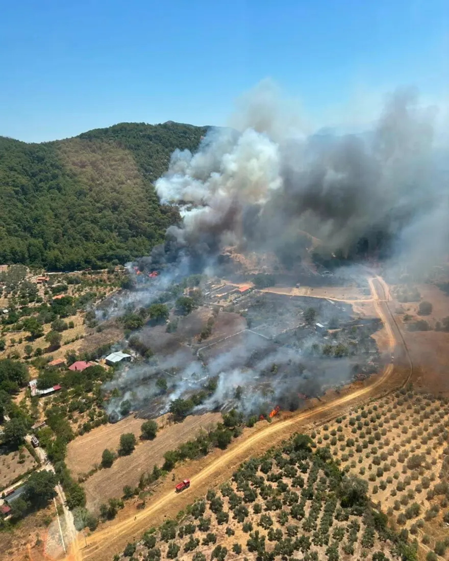 Afyonkarahisar, Fethiye ve Antalya'da orman yangını. Ekipler sevk edildi 
