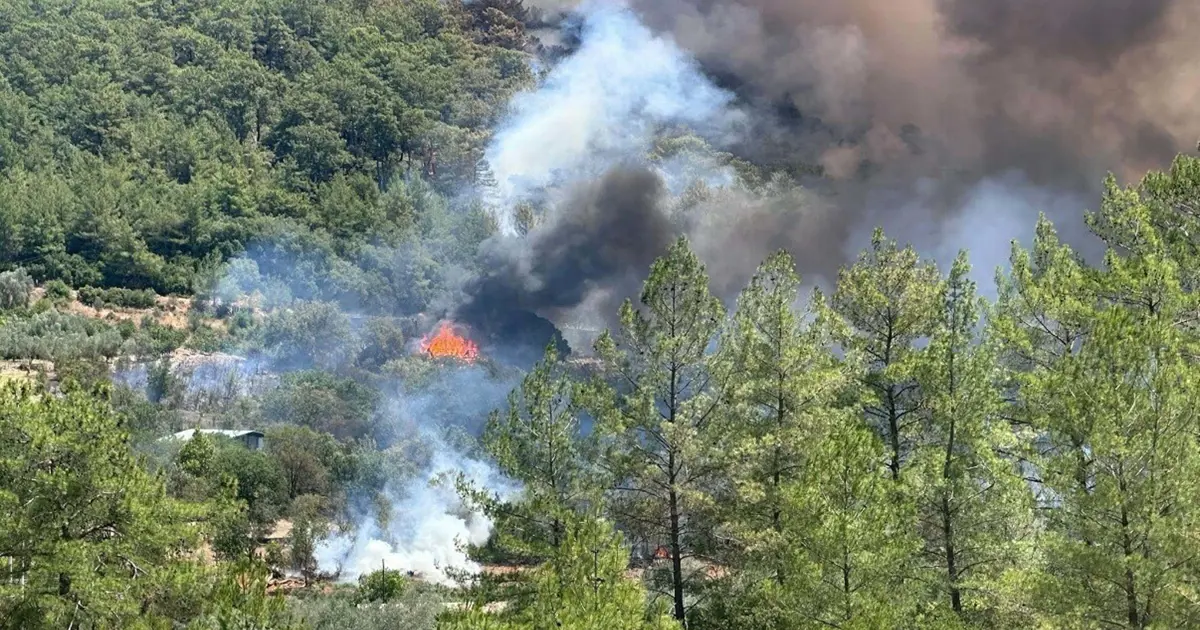 Muğla ve Antalya'da orman yangını. Ekipler sevk edildi