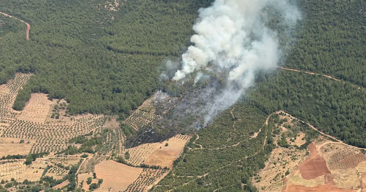 Muğla Yatağan'da orman yangını. Ekipler müdahale ediyor