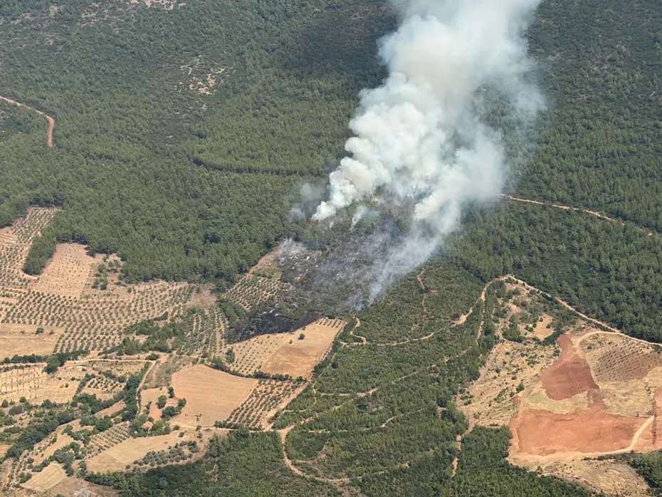 Muğla Yatağan'da orman yangını. Ekipler müdahale ediyor